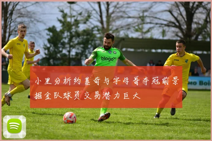 小里分析约基奇与字母哥夺冠前景掘金队球员交易潜力巨大